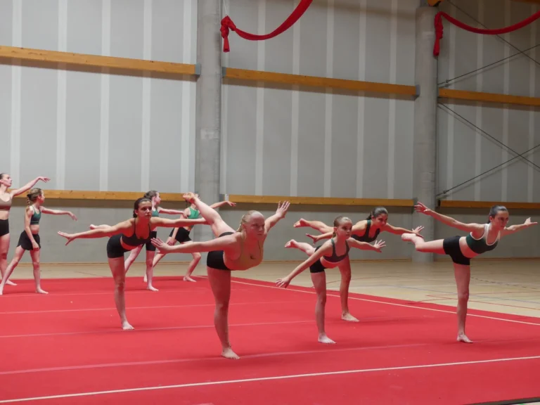 groupe gymnastes equilibre arabesque synchronisee